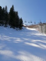 IMG_20250307_105906.jpg
