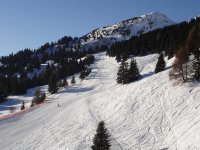 DSC00018.jpg