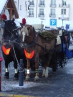 carrozza.jpg