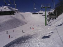DSC00414.jpg