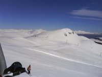 DSC00431.JPG