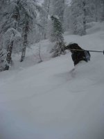 IMG_1604 copia.jpg