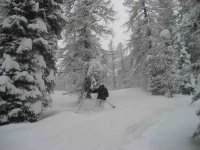 IMG_1596 copia.jpg