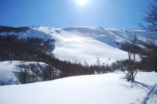 DSC_0012_web.jpg