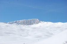 DSC_0018_web.jpg