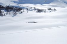 DSC_0029_web.jpg