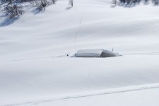 DSC_0031_web.jpg
