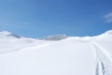 DSC_0034_web.jpg
