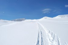 DSC_0035_web.jpg