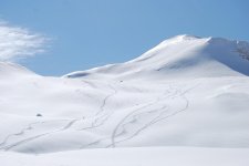 DSC_0048_web.jpg