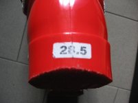 Head_ (8).jpg