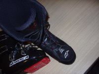 NORDICA 3.jpg