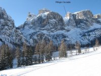 IMG_2050.JPG