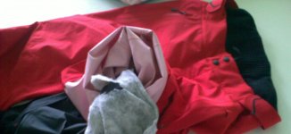 Foto145.jpg
