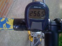 bici 002.jpg