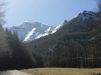IMG_20250319_101504.jpg