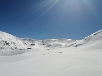 IMG_20250319_112853.jpg