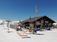 IMG_20250319_115231.jpg