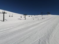 IMG_20250319_132110.jpg