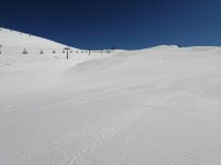 IMG_20250319_132423.jpg