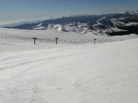 IMG_20250319_150645.jpg