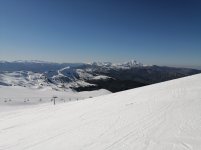 IMG_20250319_150702.jpg