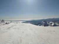 IMG_20250319_155019.jpg