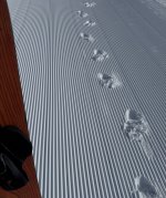 IMG_6759.jpeg