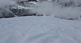 IMG_6767.jpeg