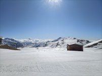 IMG20250325091012.jpg