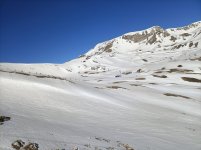 IMG20250325092210.jpg