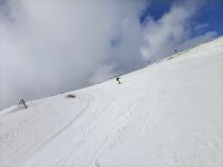 IMG20250326093632.jpg