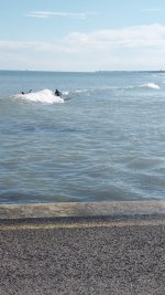 diga surf.jpg
