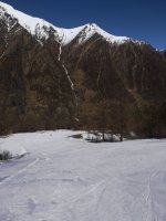 IMG_20250424_105020.jpg