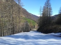 IMG_20250424_101035.jpg
