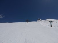 IMG_20250424_123708.jpg