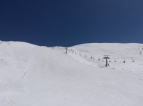 IMG_20250424_142122.jpg