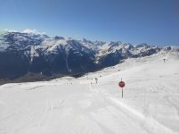 IMG_20250501_093258.jpg