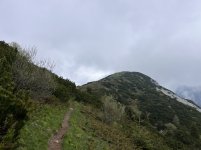 IMG_8331.jpeg