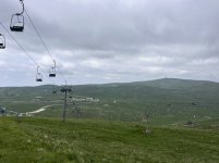 IMG_8377.jpeg