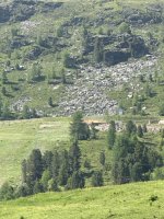 IMG_4671.jpeg
