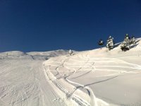 n1411124860_30157616_9492.jpg