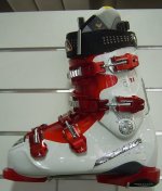 t11.jpg