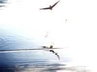 DSC000000003 (13).jpg