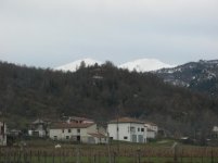 IMG_3046.jpg