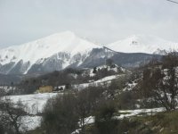 IMG_3047.jpg