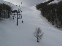 IMG_3061.jpg