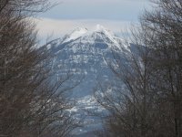 IMG_3070.jpg