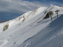 IMG_3103_2.jpg