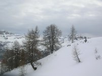 DSCN2809.jpg